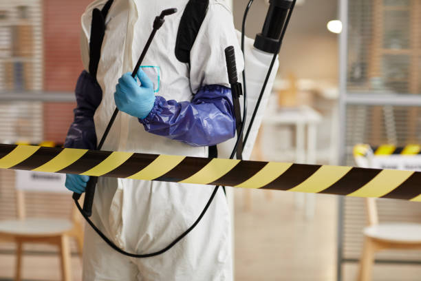 Professional Sewage Cleanup technician working in Wolbach, NE